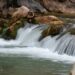 Woman clinging to log in Zion National Park river had no pulse when rescued, rangers say