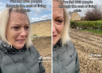 A woman who grows and donates food to those in need said someone dumped salt on her garden, destroying her harvest. TikTokers rushed to offer money and support.