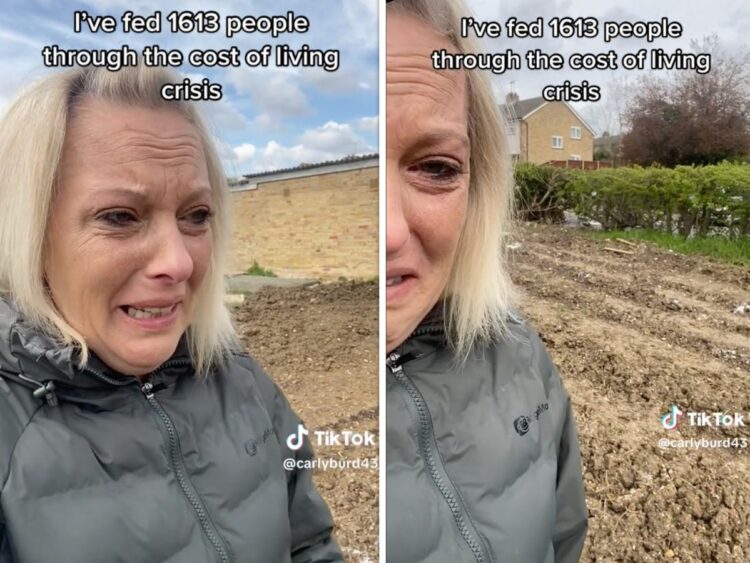 A woman who grows and donates food to those in need said someone dumped salt on her garden, destroying her harvest. TikTokers rushed to offer money and support.