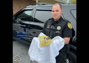 Driver stops to check ‘trash’ thrown out window in Georgia. It was anything but garbage