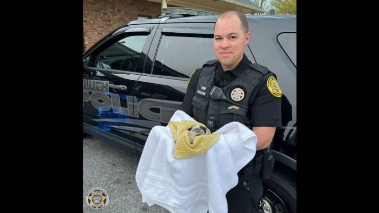 Driver stops to check ‘trash’ thrown out window in Georgia. It was anything but garbage