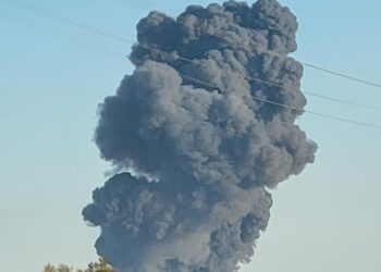 18,000 cows killed in explosion, fire at Texas dairy farm may be largest cattle killing ever