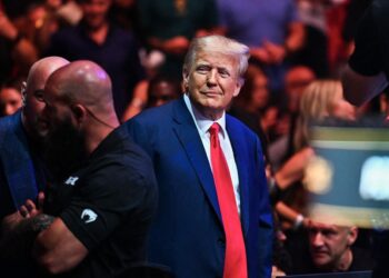 Trump greeted with prolonged applause when he made a surprise appearance at UFC 287 with Mike Tyson and Kid Rock