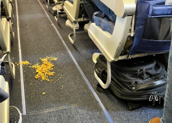 Southwest flight delayed as attendant loses it over ‘some kind of Asian fried rice’