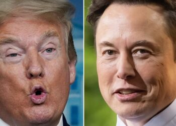 Donald Trump Throws Hissy Fit Over Elon Musk Revelation