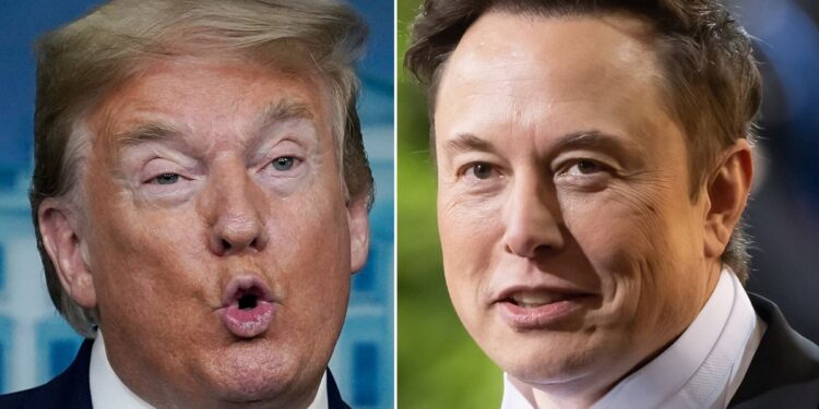 Donald Trump Throws Hissy Fit Over Elon Musk Revelation