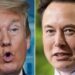 Donald Trump Throws Hissy Fit Over Elon Musk Revelation