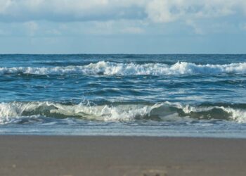 Unusual cargo found along Florida beach, cops say. Then two more reports came in
