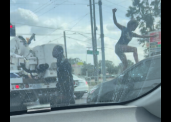 Video shows woman stomping windshield in road rage incident at Florida traffic light