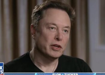 Elon Musk and Tucker Carlson discussed the urge to have sex, with Musk claiming ‘birth control and abortions’ could cause civilization to collapse