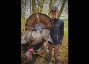 Rare turkey shot on opening day of the Tennessee season. See the ‘bird of a lifetime’