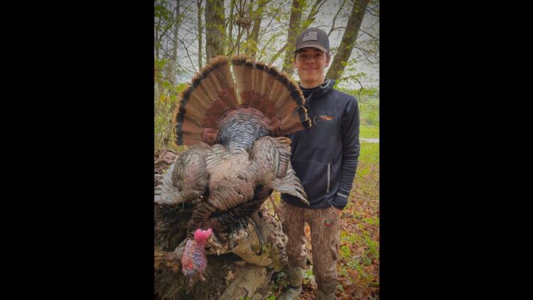 Rare turkey shot on opening day of the Tennessee season. See the ‘bird of a lifetime’