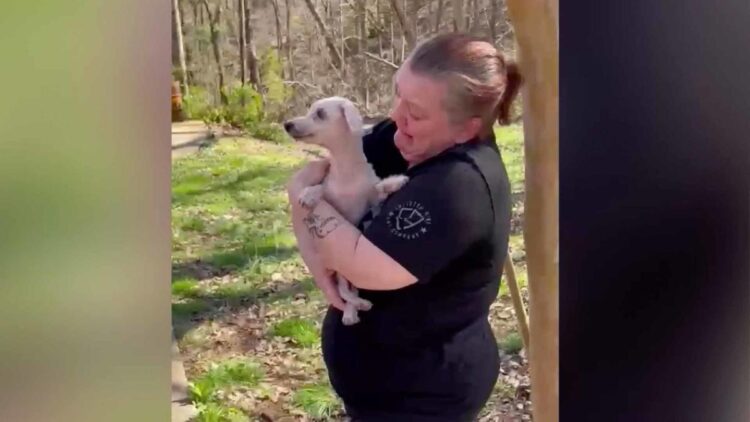 18-year-old dog missing for three years reunited with owner