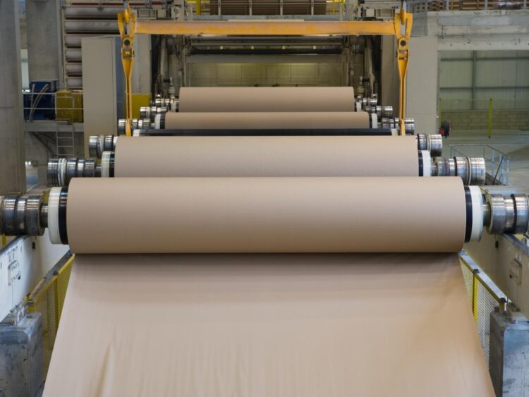 A paper mill in Alabama told authorities a worker died from a heart attack. He actually died after being electrocuted by machinery, the labor department says.