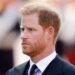 ‘After his appearance at the Coronation, there will be no need for Prince Harry to return to the UK’