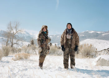 Mass Yellowstone Bison Hunt Kills More Than 1,000
