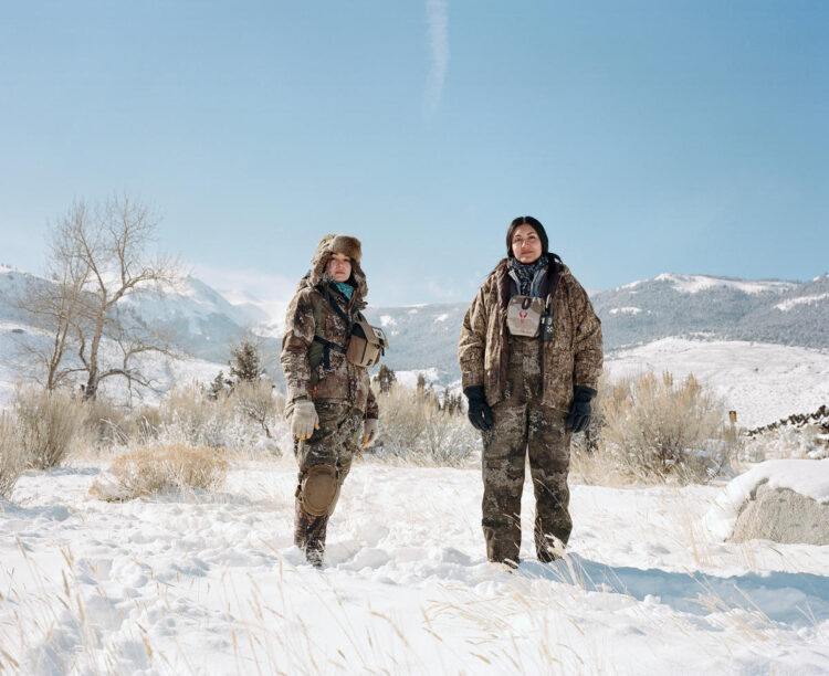 Mass Yellowstone Bison Hunt Kills More Than 1,000