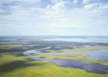 ‘Extremely rare’ creature spotted by Canadian photographer. ‘Once in a lifetime’