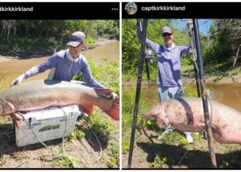 Massive alligator gar caught in Texas river may be a world record. ‘Absolute monster’