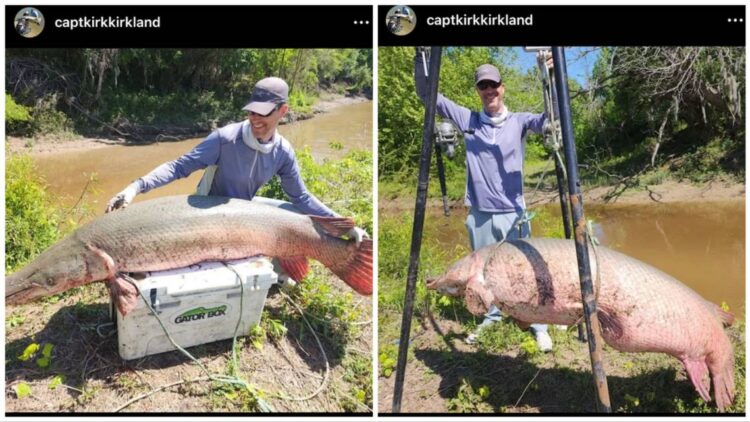 Massive alligator gar caught in Texas river may be a world record. ‘Absolute monster’