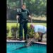 Alligator captured in Florida pool, but deputy’s reaction is what has people talking