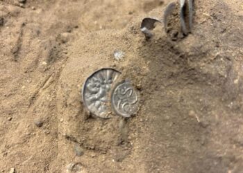 1,000-year-old Viking coins unearthed by young girl with metal detector