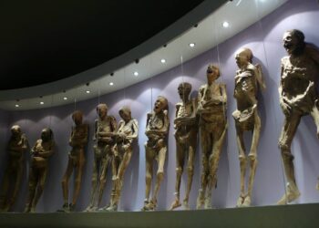 Signs of life in mummy exhibit in Mexico have experts worried for those who get close