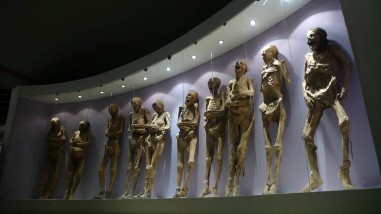 Signs of life in mummy exhibit in Mexico have experts worried for those who get close