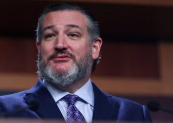 New Audio Shows Ted Cruz Scheming to Steal 2020 Election New Audio Shows Ted Cruz Scheming to Steal 2020 Election