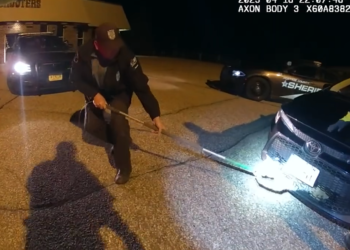 Trapped animal goes ballistic after rescuers free it from car’s grille, WI video shows