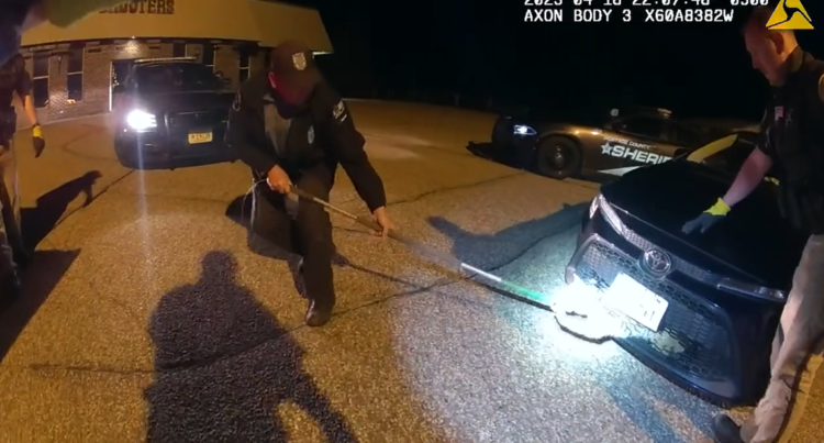 Trapped animal goes ballistic after rescuers free it from car’s grille, WI video shows