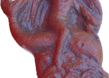 Archeologists in Italy unearth ancient dolphin statuette