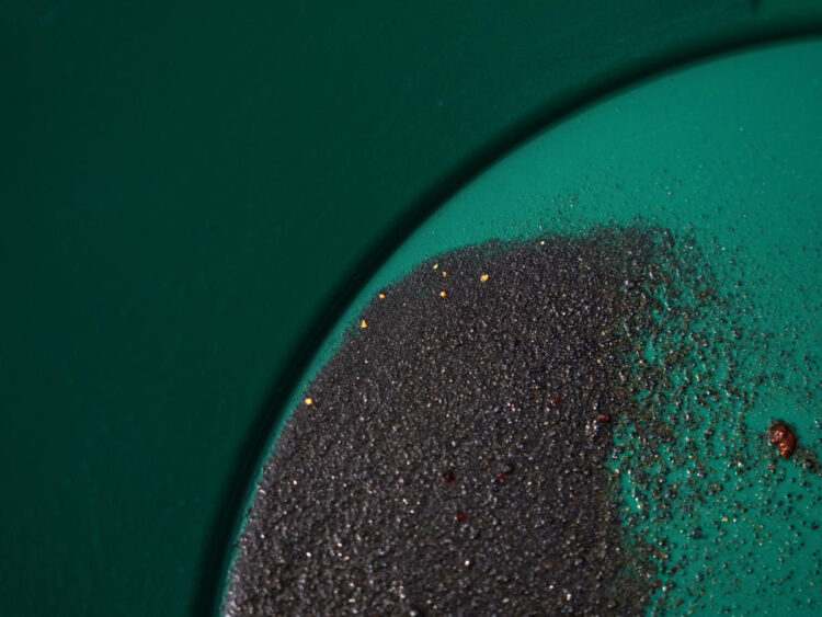 Eureka! After California’s Heavy Rains, Gold Seekers Are Giddy.