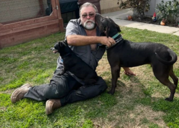 ‘Problem dog’ who spent 423 days in CA shelter finally has a home. ‘We are all crying’ ‘Problem dog’ who spent 423 days in CA shelter finally has a home. ‘We are all crying’