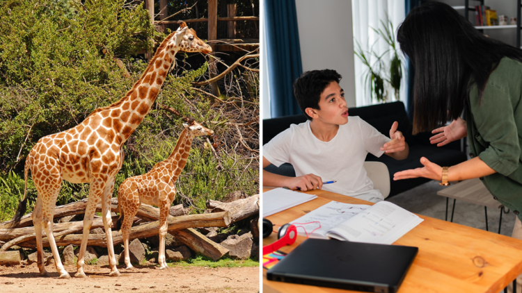 Here’s what the ‘appalled’ mom did next