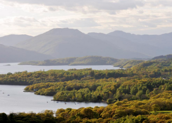 ‘Rare’ creature discovered lurking in lochs of Scotland for first time, experts say