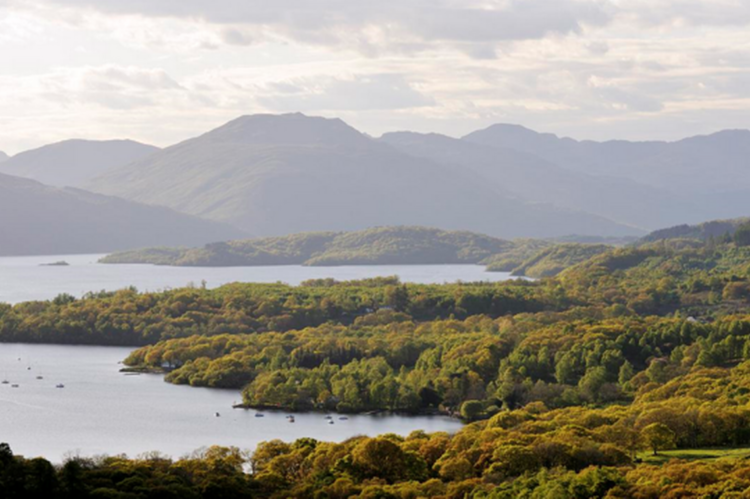 ‘Rare’ creature discovered lurking in lochs of Scotland for first time, experts say