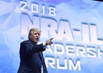 Trump and the NRA might be right about guns — and we mostly have ourselves to blame