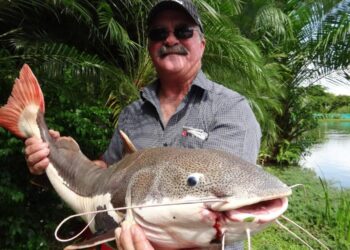 Crocodile may have eaten fisherman after flip flops found on riverbank