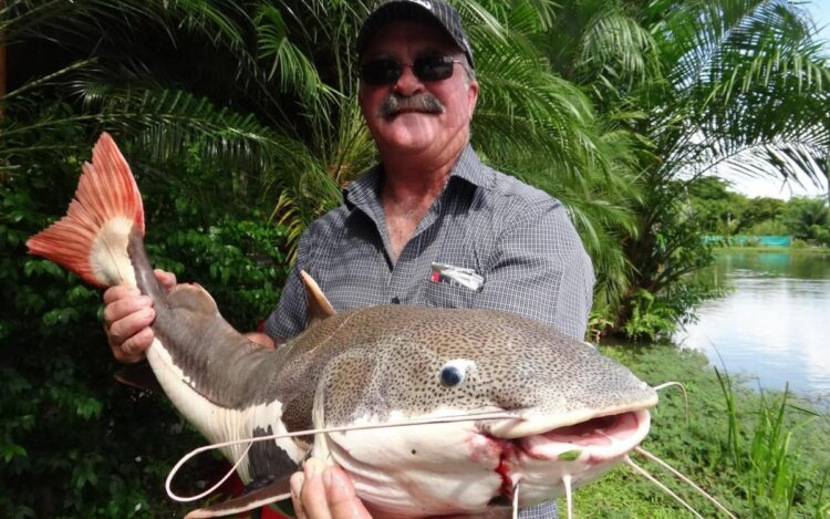Crocodile may have eaten fisherman after flip flops found on riverbank