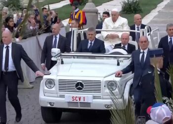 Pope leads Palm Sunday Mass after illness