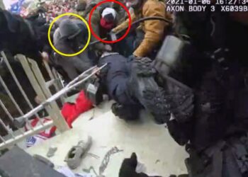 A man who modeled for the cover of a military romance novel in which a woman lusts for her ‘manwhore’ Navy SEAL stepbrother was sentenced to 3 years in prison for assaulting a Capitol police officer on Jan. 6