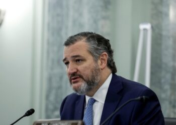 Ted Cruz, one of Trump’s staunchest MAGA allies, was begging Fox News behind the scenes to show ‘demonstrable facts’ and evidence before repeating Trump’s 2020 election lies