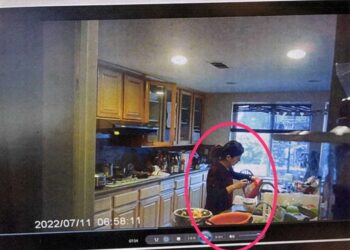 California doctor accused of poisoning husband with Drano was trying to kill ants, not her spouse, lawyers claim