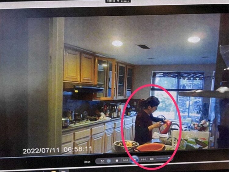 California doctor accused of poisoning husband with Drano was trying to kill ants, not her spouse, lawyers claim