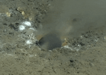 A Leak at the Bottom of the Sea May Be a Harbinger of Doom