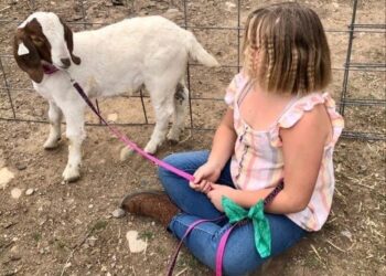A 9-year-old girl in California tried to save her beloved pet goat from a livestock auction. Then the police were called.