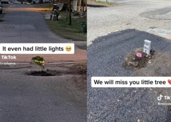 A Virginian man might have finally figured out how to get a city to fix a pothole — go viral on TikTok