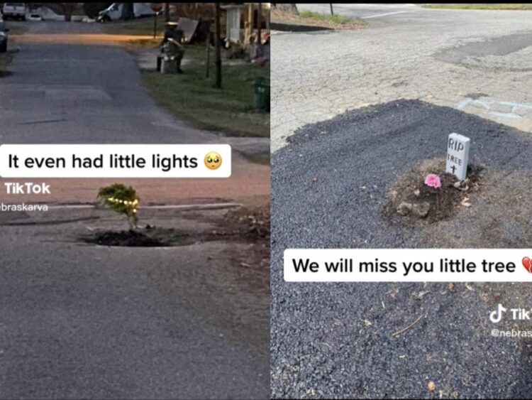A Virginian man might have finally figured out how to get a city to fix a pothole — go viral on TikTok