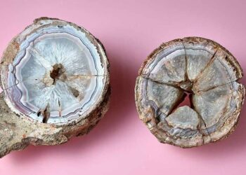 Rock crystal sat in museum for nearly 2 centuries — then they found it wasn’t a rock